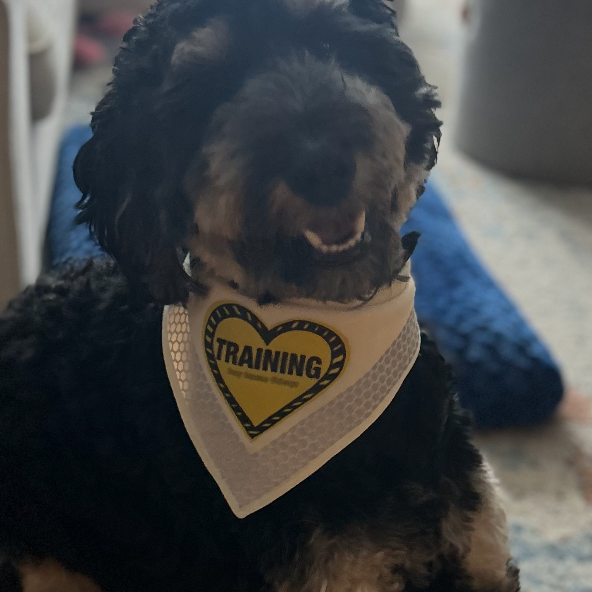 TRAINING HEART Bandana