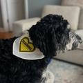 TRAINING HEART Bandana