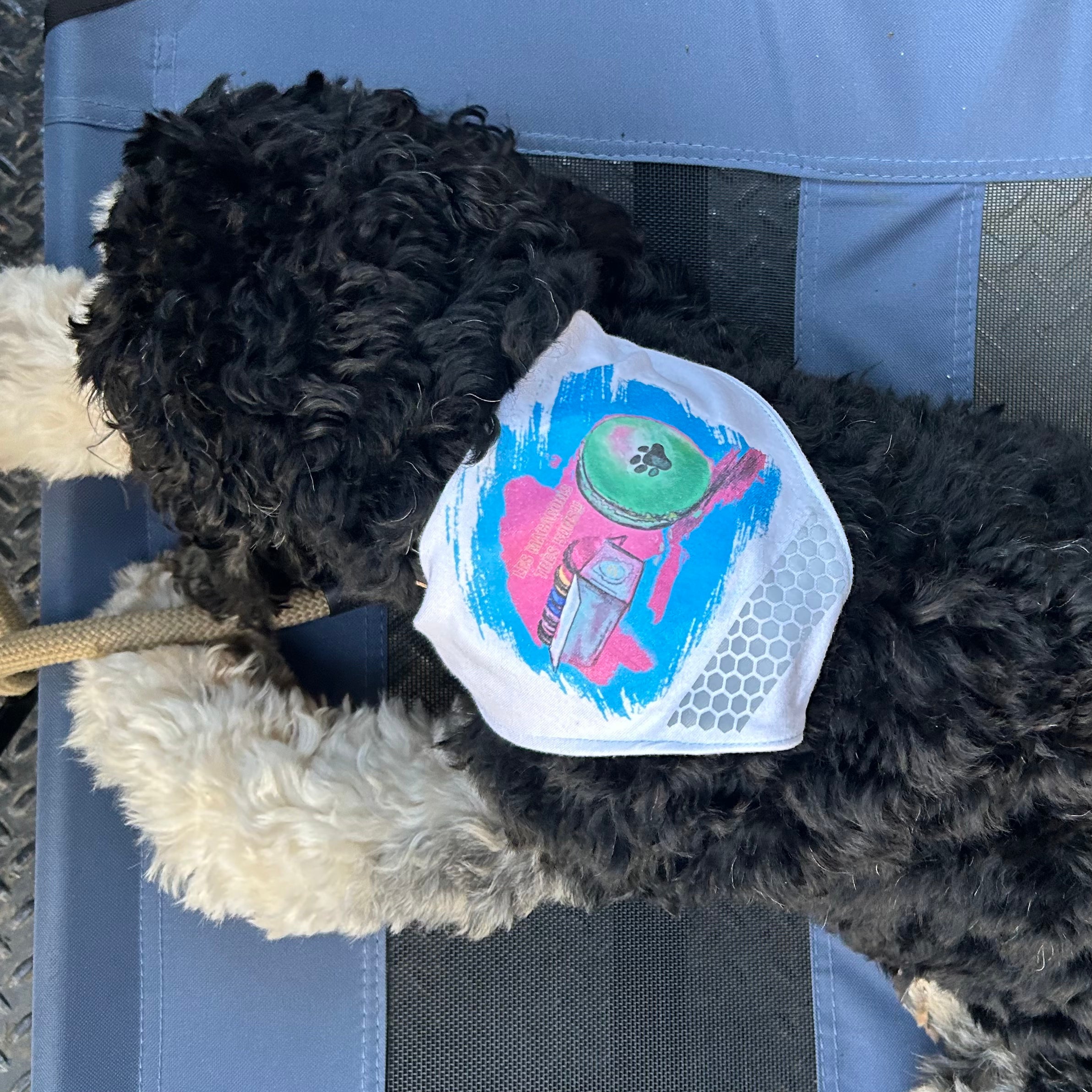 LES MACARONS Bandana