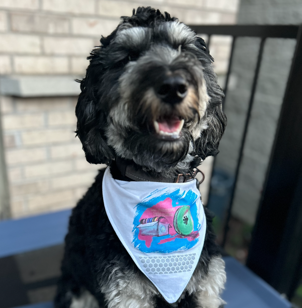 LES MACARONS Bandana